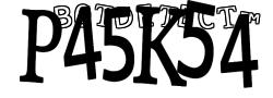 Retype the CAPTCHA code from the image